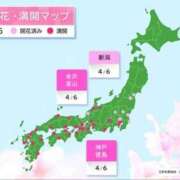 ヒメ日記 2025/04/07 15:25 投稿 まさこ 待ちナビ