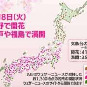 ヒメ日記 2025/04/09 16:29 投稿 まさこ 待ちナビ