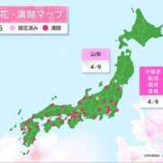 ヒメ日記 2025/04/10 01:55 投稿 まさこ 待ちナビ