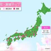 ヒメ日記 2025/04/11 14:35 投稿 まさこ 待ちナビ