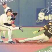 ヒメ日記 2025/04/11 15:21 投稿 まさこ 待ちナビ