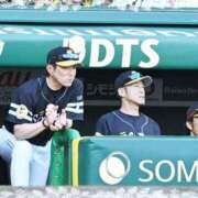 ヒメ日記 2025/06/22 08:29 投稿 まさこ 待ちナビ