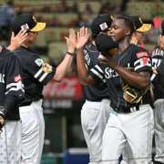 ヒメ日記 2025/07/20 09:10 投稿 まさこ 待ちナビ