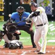 ヒメ日記 2025/08/17 08:15 投稿 まさこ 待ちナビ