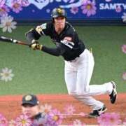 ヒメ日記 2025/09/15 11:35 投稿 まさこ 待ちナビ