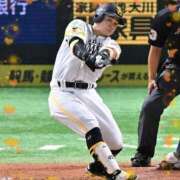 ヒメ日記 2025/10/04 07:35 投稿 まさこ 待ちナビ