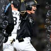 ヒメ日記 2025/10/29 08:25 投稿 まさこ 待ちナビ