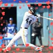 ヒメ日記 2026/03/02 01:45 投稿 まさこ 待ちナビ