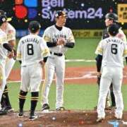 ヒメ日記 2026/04/16 17:35 投稿 まさこ 待ちナビ