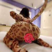 ヒメ日記 2024/12/17 18:21 投稿 砂尾 熟女の風俗最終章 横浜本店