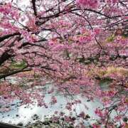 ヒメ日記 2026/01/04 05:49 投稿 砂尾 熟女の風俗最終章 横浜本店