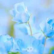 ヒメ日記 2026/03/02 09:53 投稿 砂尾 熟女の風俗最終章 横浜本店