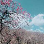 ヒメ日記 2026/03/07 05:44 投稿 砂尾 熟女の風俗最終章 横浜本店