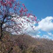 ヒメ日記 2026/04/05 05:44 投稿 砂尾 熟女の風俗最終章 横浜本店