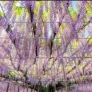 ヒメ日記 2026/04/19 10:54 投稿 砂尾 熟女の風俗最終章 横浜本店