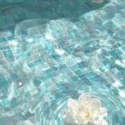 ヒメ日記 2026/07/08 10:19 投稿 砂尾 熟女の風俗最終章 横浜本店