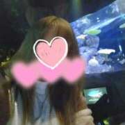 ヒメ日記 2025/04/08 17:00 投稿 折原モカ HANABI(福富町)