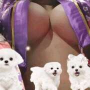 ヒメ日記 2025/05/16 13:00 投稿 折原モカ HANABI(福富町)