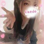 ヒメ日記 2024/12/20 19:23 投稿 かえで 艶熟妻 京都店