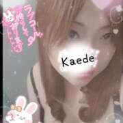 ヒメ日記 2025/01/31 17:00 投稿 かえで 艶熟妻 京都店