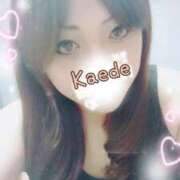 ヒメ日記 2025/02/02 12:01 投稿 かえで 艶熟妻 京都店