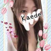 ヒメ日記 2025/05/04 21:13 投稿 かえで 艶熟妻 京都店