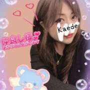 ヒメ日記 2025/05/19 15:02 投稿 かえで 艶熟妻 京都店