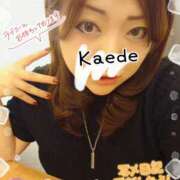 ヒメ日記 2025/05/27 11:03 投稿 かえで 艶熟妻 京都店