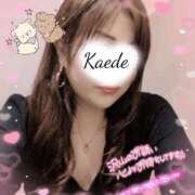 ヒメ日記 2026/02/14 17:48 投稿 かえで 艶熟妻 京都店