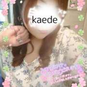 ヒメ日記 2026/04/05 02:23 投稿 かえで 艶熟妻 京都店