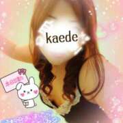 ヒメ日記 2026/04/17 06:58 投稿 かえで 艶熟妻 京都店