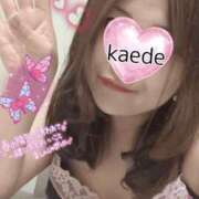 ヒメ日記 2026/04/18 19:49 投稿 かえで 艶熟妻 京都店