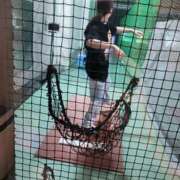 ヒメ日記 2025/03/06 20:46 投稿 秋元琴葉(ことは) ニューハーフヘルスLIBE大阪梅田店