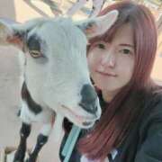 ヒメ日記 2025/04/22 17:56 投稿 秋元琴葉(ことは) ニューハーフヘルスLIBE大阪梅田店