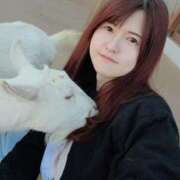 ヒメ日記 2025/04/25 19:06 投稿 秋元琴葉(ことは) ニューハーフヘルスLIBE大阪梅田店