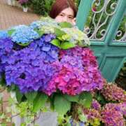 ヒメ日記 2025/06/07 17:06 投稿 秋元琴葉(ことは) ニューハーフヘルスLIBE大阪梅田店