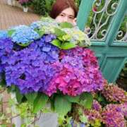 ヒメ日記 2025/09/05 00:06 投稿 秋元琴葉(ことは) ニューハーフヘルスLIBE大阪梅田店