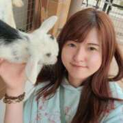 ヒメ日記 2025/09/07 00:11 投稿 秋元琴葉(ことは) ニューハーフヘルスLIBE大阪梅田店