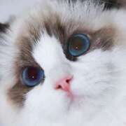 ヒメ日記 2025/09/03 20:40 投稿 麗女王様 変態プレイ専門店 マニアック女人館 本館