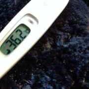 ヒメ日記 2025/11/26 09:41 投稿 麗女王様 変態プレイ専門店 マニアック女人館 本館