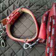 麗女王様 こんにちは♬*.+゜ 変態プレイ専門店 マニアック女人館 本館