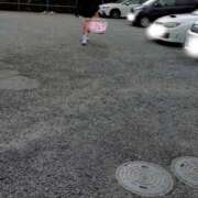 ヒメ日記 2026/01/30 07:43 投稿 麗女王様 変態プレイ専門店 マニアック女人館 本館