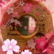 ヒメ日記 2025/04/04 12:32 投稿 はるみ 渋谷 風俗 奥様発情の会