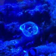 ヒメ日記 2025/07/01 12:52 投稿 はるみ 渋谷 風俗 奥様発情の会