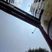 ヒメ日記 2025/07/09 12:03 投稿 はるみ 渋谷 風俗 奥様発情の会