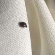 ヒメ日記 2025/11/28 12:06 投稿 はるみ 渋谷 風俗 奥様発情の会