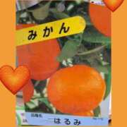ヒメ日記 2026/01/28 13:10 投稿 はるみ 渋谷 風俗 奥様発情の会
