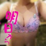 ヒメ日記 2025/07/19 12:09 投稿 クルミ秘書 秘書の品格 クラブアッシュ ヴァリエ