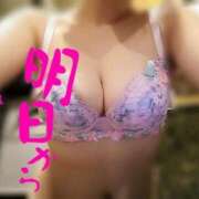 ヒメ日記 2025/07/19 12:28 投稿 クルミ秘書 秘書の品格 クラブアッシュ ヴァリエ