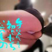 クルミ秘書 🐤🐤🐤 秘書の品格 クラブアッシュ ヴァリエ